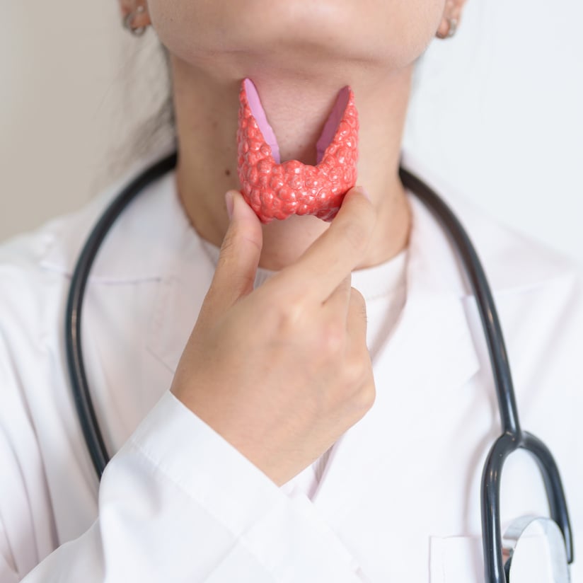 Doctor with human Thyroid anatomy model. Hyperthyroidism, Hypothyroidism, Hashimoto Thyroiditis, Thyroid Tumor and Cancer, Postpartum, Papillary Carcinoma and Health concept